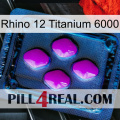 Rhino 12 Titanium 6000 04